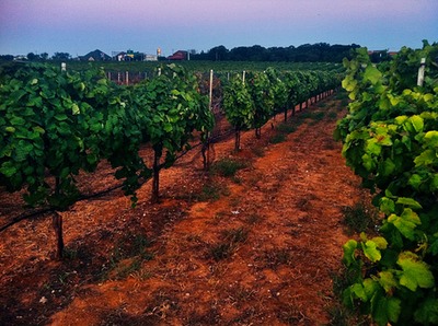 Dallas-Fort Worth International Airport, Texas