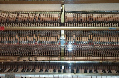 Automaton Museum — La Rochelle